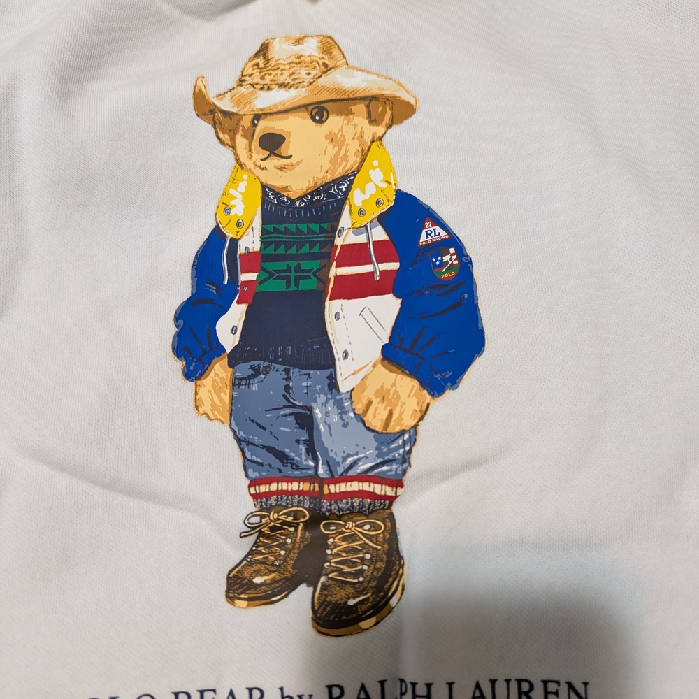 Polo by Ralph Lauren Men's Colorblock Bear Hoodie - Picture 5 of 13